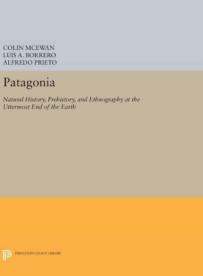 Patagonia book