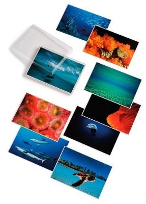 David Doubilet; Water Light Time Postcards by David Doubilet