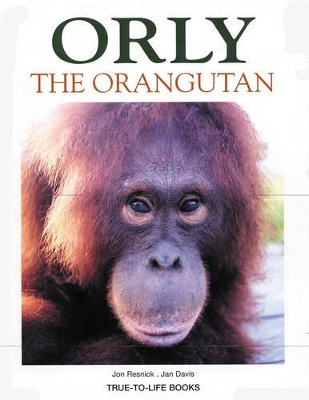 Orly the Orangutan book