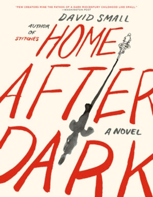 Home After Dark: A Novel book