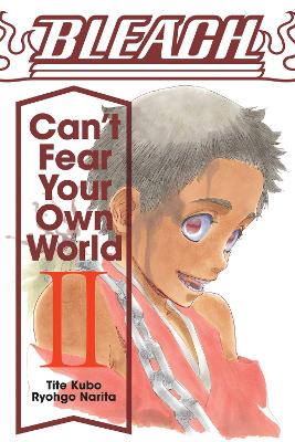 Bleach: Can't Fear Your Own World, Vol. 2: Volume 2 book