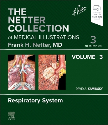 The The Netter Collection of Medical Illustrations: Respiratory System, Volume 3 by David A. Kaminsky