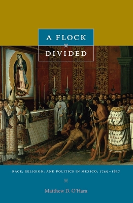 Flock Divided book