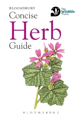 Concise Herb Guide by Bloomsbury