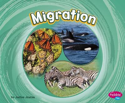 Migration book