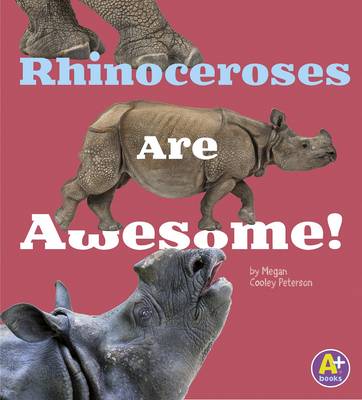 Rhinoceroses Are Awesome! by Allan Morey