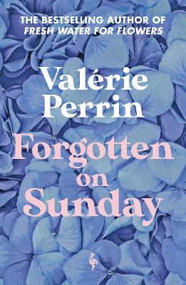 Forgotten on Sunday: From the million copy bestselling author of Fresh Water for Flowers by Valérie Perrin