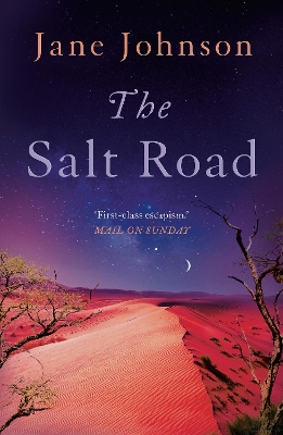 The The Salt Road by Jane Johnson