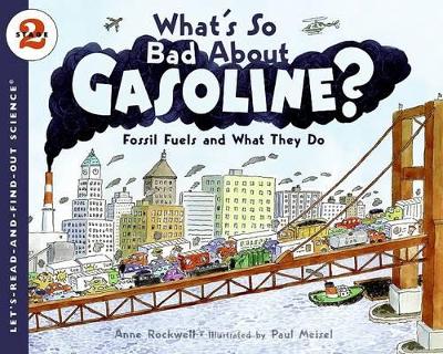 What's So Bad About Gasoline? Fossil Fuels and What They Do book