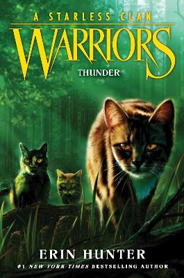 Warriors: A Starless Clan #4: Thunder book