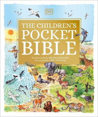 The Children's Pocket Bible book