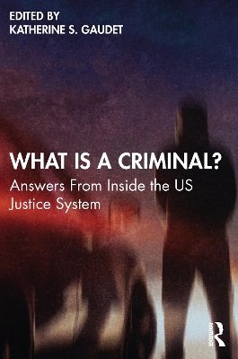What Is a Criminal?: Answers From Inside the US Justice System book