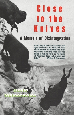 Close to the Knives book