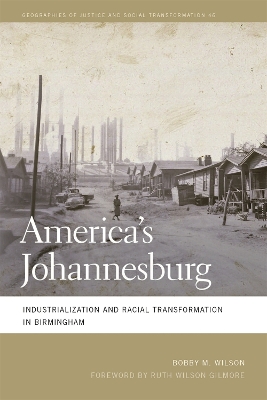 America's Johannesburg: Industrialization and Racial Transformation in Birmingham book