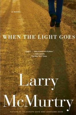When the Light Goes book
