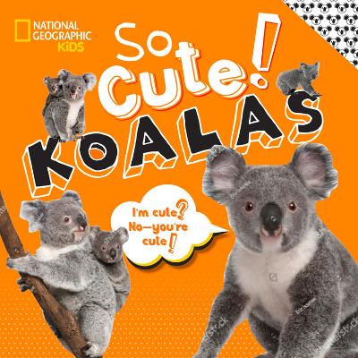 So Cute! Koalas book