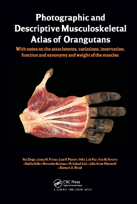 Photographic and Descriptive Musculoskeletal Atlas of Orangutans by Rui Diogo