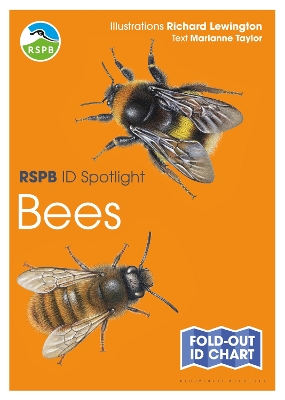 RSPB ID Spotlight - Bees book