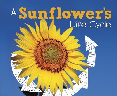 A Sunflower's Life Cycle book