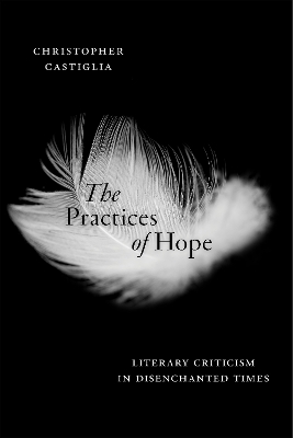 Practices of Hope book