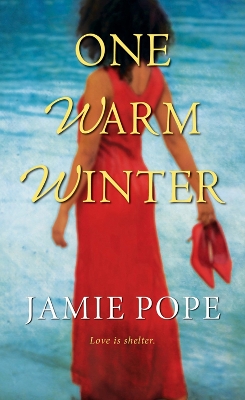 One Warm Winter book