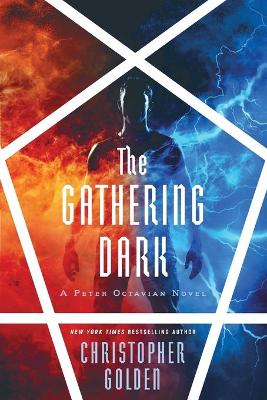 The Gathering Dark book