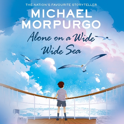 Alone on a Wide Wide Sea book