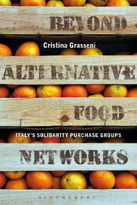 Beyond Alternative Food Networks book