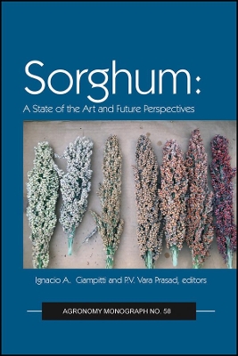 Sorghum: State of the Art and Future Perspectives book