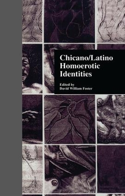 Chicano/Latino Homoerotic Identities book