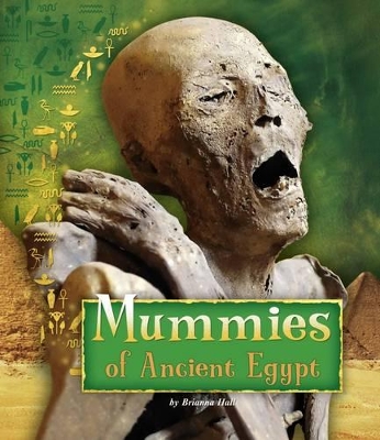 Mummies of Ancient Egypt book