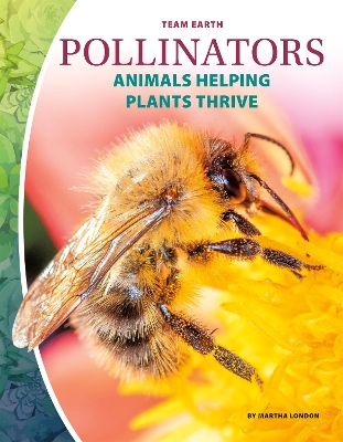 Pollinators book