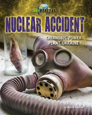 Nuclear Accident book
