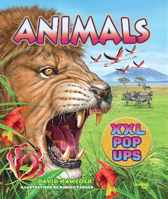 Animals XXL pop-ups book