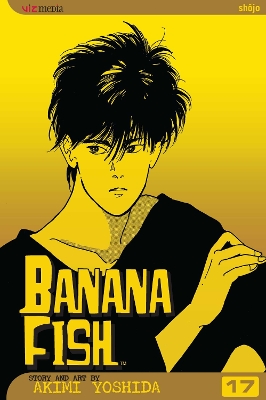 Banana Fish, Vol. 17: Volume 17 book