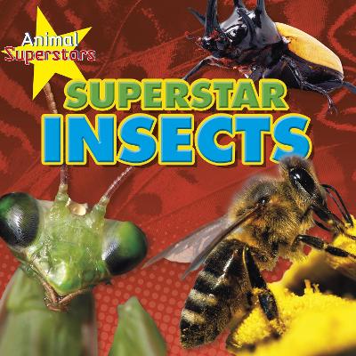Insect Superstars by Louise Spilsbury