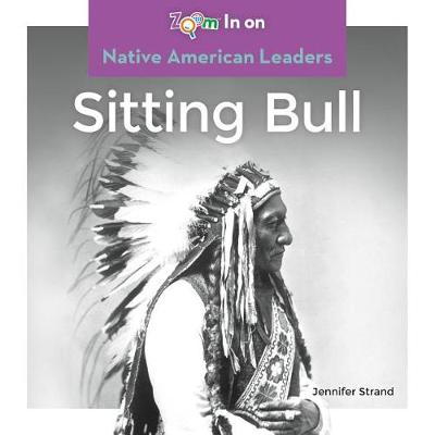 Sitting Bull book