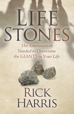 Life Stones: The Ammunition Needed to Overcome the Giants in Your Life book