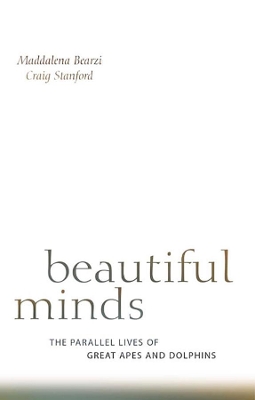 Beautiful Minds book