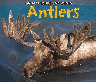 Antlers book