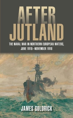 After Jutland: The Naval War in Northern European Waters, June 1916-November 1918 book