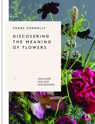 Discovering the Meaning of Flowers book