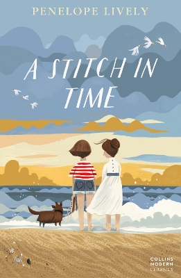 Stitch in Time book