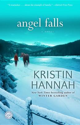 Angel Falls book