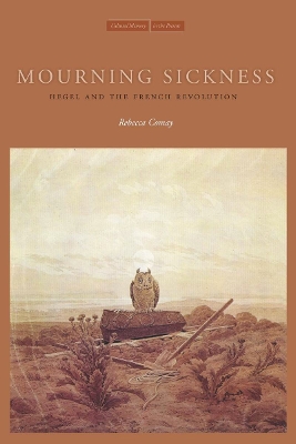Mourning Sickness book