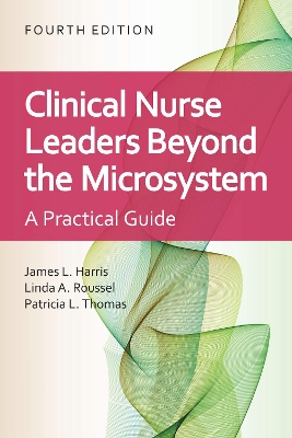 Clinical Nurse Leaders Beyond the Microsystem: A Practical Guide book