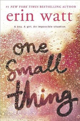 One Small Thing book