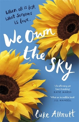 We Own The Sky book