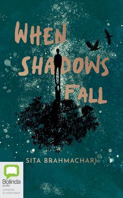When Shadows Fall book