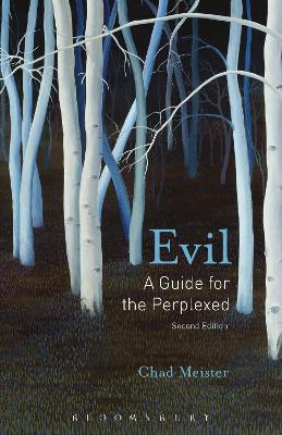 Evil: A Guide for the Perplexed book